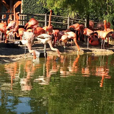 Mobile - 2 Bedrooms - Near The Sea - Les Ormeaux B25 Saint-Palais-sur-Mer