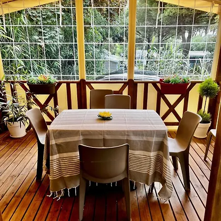 Mobile - 2 Bedrooms - Near The Sea - Les Ormeaux B25 Saint-Palais-sur-Mer