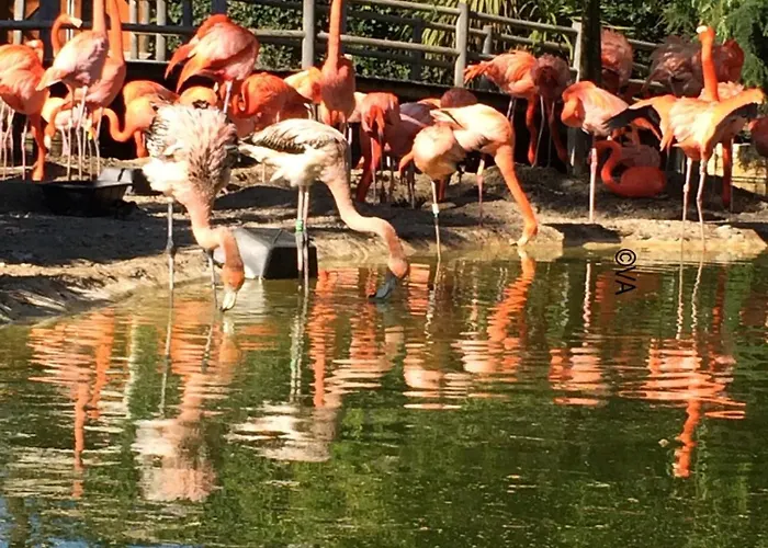 Mobile - 2 Bedrooms - Near The Sea - Les Ormeaux B25 Saint-Palais-sur-Mer